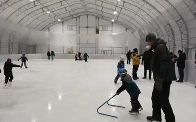 11725.webp