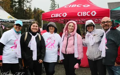 11953.webp