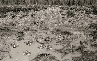 12833.webp