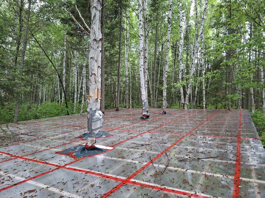 Dispositif expérimentale de sécheresse artificielle | Lac Duparquet | UQAT | IRF | GREMA