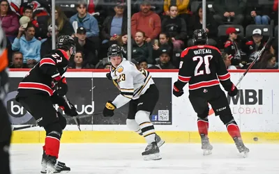 2474.webp