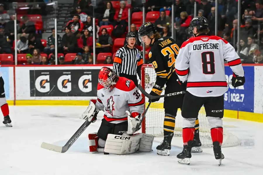 2854.webp