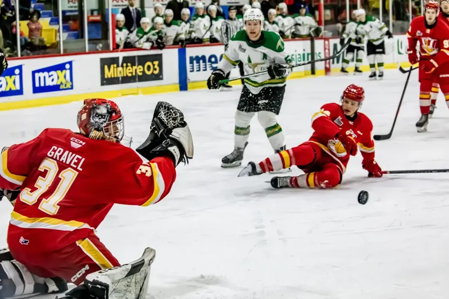 3539.webp