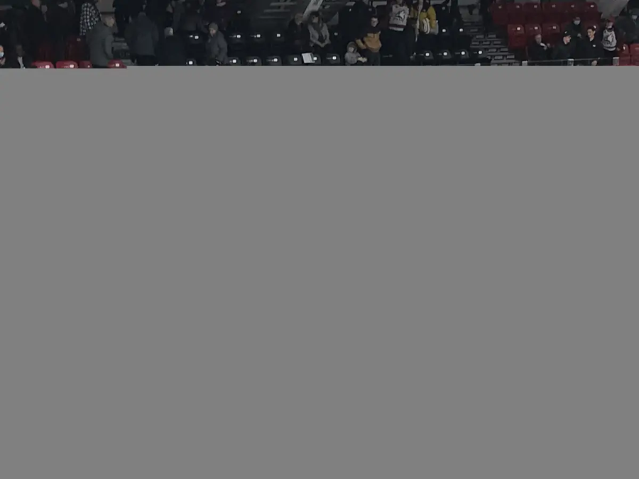 8113.webp