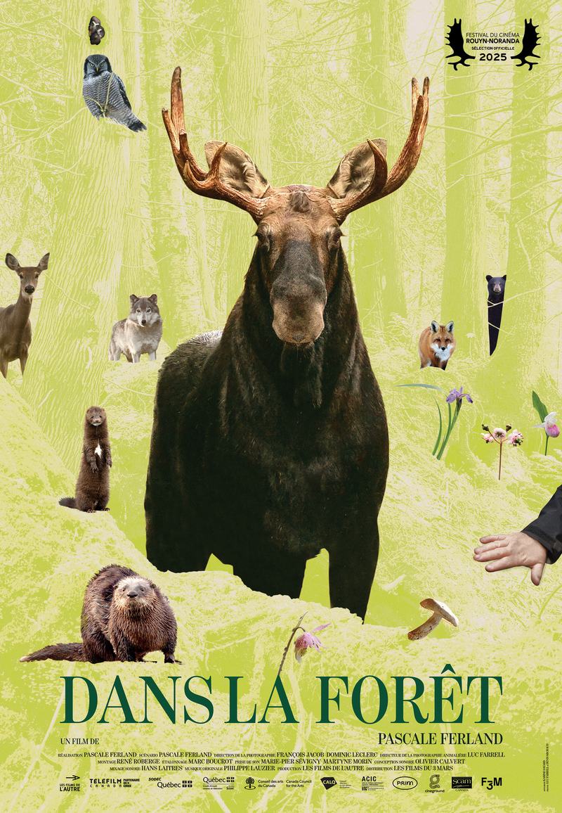 AFFICHE_Dans la forêt