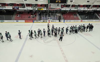 Gaillards vs Triades1