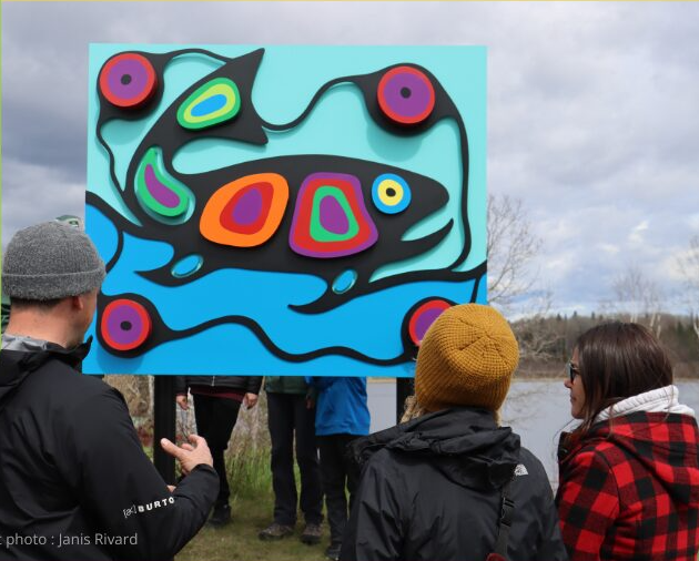 Minwashin Crédit Janis Rivard