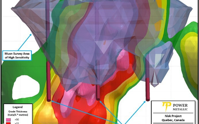 Power Metallic - Zone Lion - muons