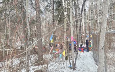 Sortie en forêt | Tournée diapason